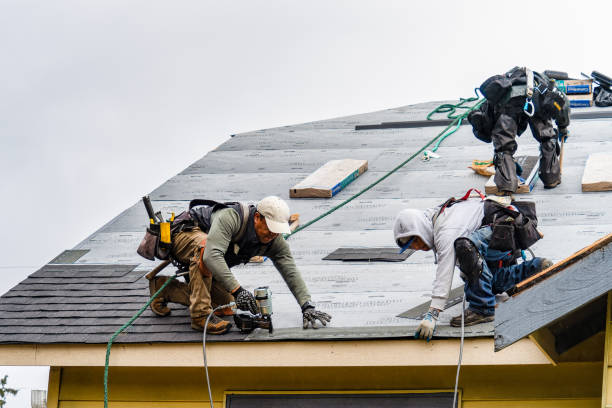 Professional Roofing technician working in Fisher, IL